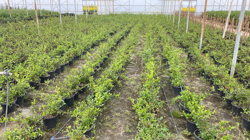 WhatsApp Image 2023 03 03 at 14.06.32 (1).jpg