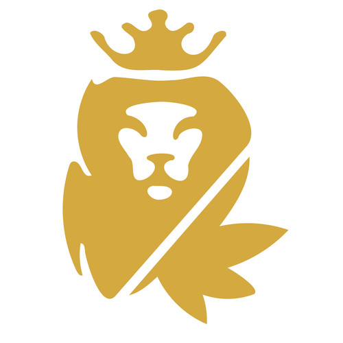 logo solo leone 1.jpg