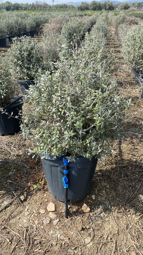 WhatsApp Image 2023 03 03 at 12.45.11.jpg