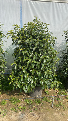 WhatsApp Image 2023 03 03 at 11.04.40.jpg