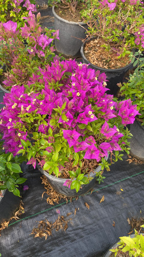 WhatsApp Image 2023 03 03 at 11.06.56 (1).jpg