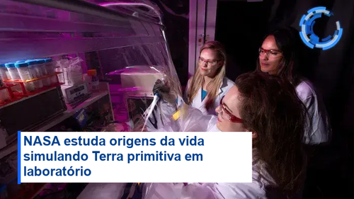 13dc2037b274.png