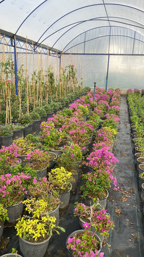 WhatsApp Image 2023 03 03 at 11.06.57.jpg