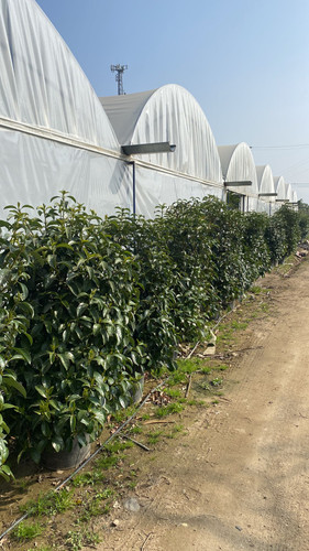 WhatsApp Image 2023 03 03 at 11.04.40 (1).jpg