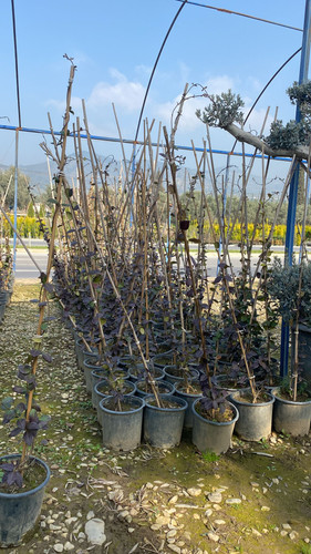 WhatsApp Image 2023 03 03 at 11.09.13 (1).jpg