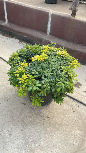 WhatsApp Image 2023 03 03 at 13.44.50.jpg