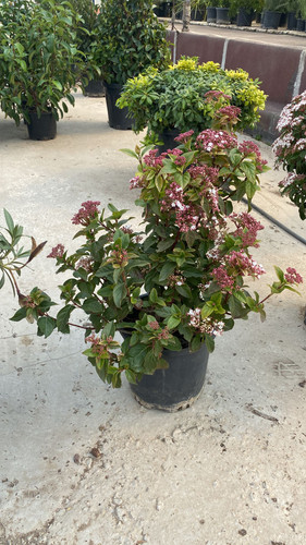 WhatsApp Image 2023 03 03 at 13.44.34.jpg