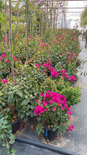 WhatsApp Image 2023 03 03 at 13.53.24.jpg