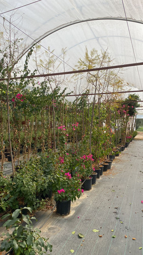 WhatsApp Image 2023 03 03 at 13.53.49.jpg