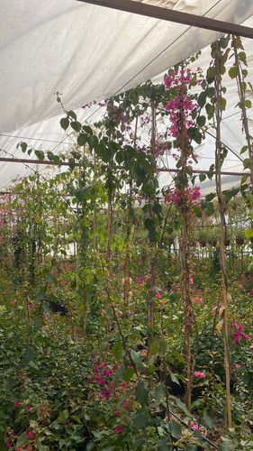 WhatsApp Image 2023 03 03 at 13.53.49 (1).jpg