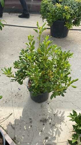 WhatsApp Image 2023 03 03 at 13.46.06.jpg