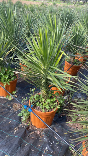 WhatsApp Image 2023 03 03 at 13.54.58.jpg