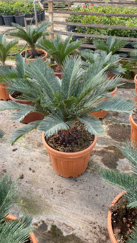 WhatsApp Image 2023 03 03 at 13.34.09.jpg