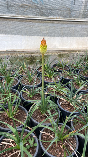 WhatsApp Image 2023 03 03 at 14.23.22.jpg