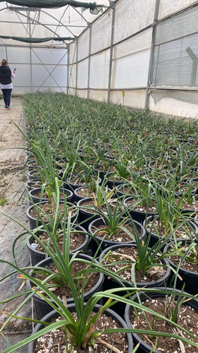 WhatsApp Image 2023 03 03 at 14.23.22 (1).jpg