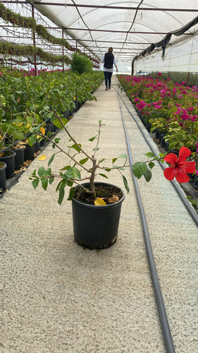 WhatsApp Image 2023 03 03 at 14.01.06.jpg