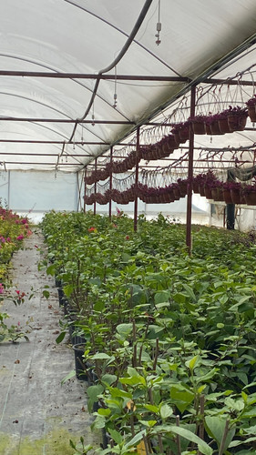 WhatsApp Image 2023 03 03 at 14.01.07 (1).jpg