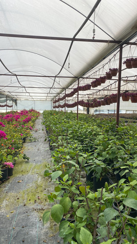 WhatsApp Image 2023 03 03 at 14.01.07.jpg