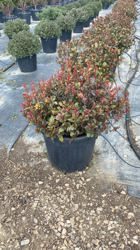 WhatsApp Image 2023 03 03 at 12.41.04.jpg