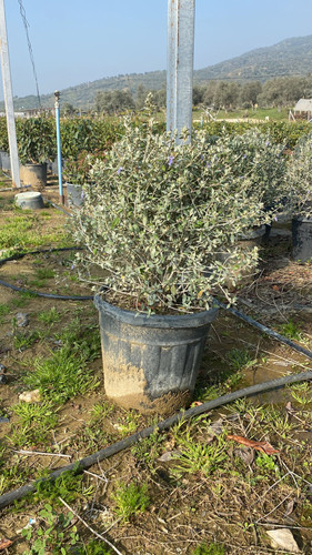 WhatsApp Image 2023 03 03 at 11.00.08 (1).jpg