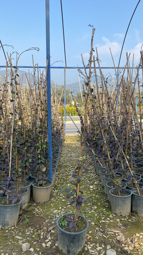 WhatsApp Image 2023 03 03 at 11.09.12.jpg