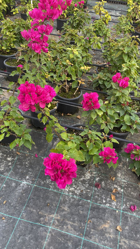 WhatsApp Image 2023 03 03 at 14.01.40 (1).jpg