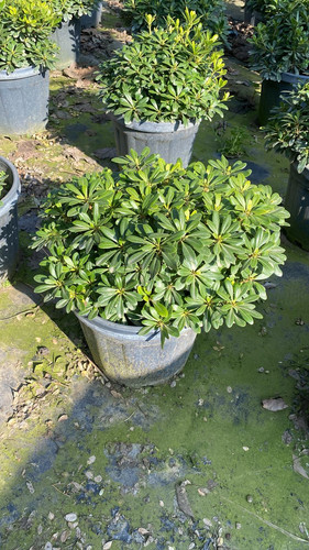 WhatsApp Image 2023 03 03 at 15.54.35.jpg