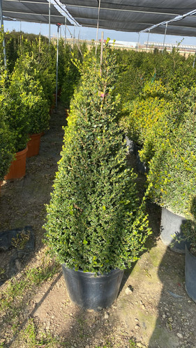 WhatsApp Image 2023 03 03 at 16.05.31.jpg