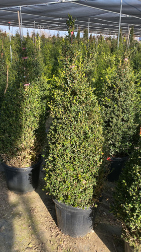 WhatsApp Image 2023 03 03 at 16.05.31 (1).jpg