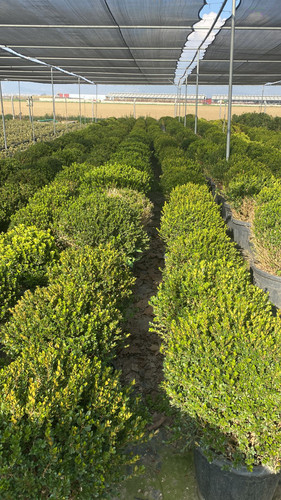 WhatsApp Image 2023 03 03 at 16.08.01.jpg