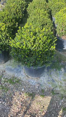 WhatsApp Image 2023 03 03 at 16.08.00.jpg