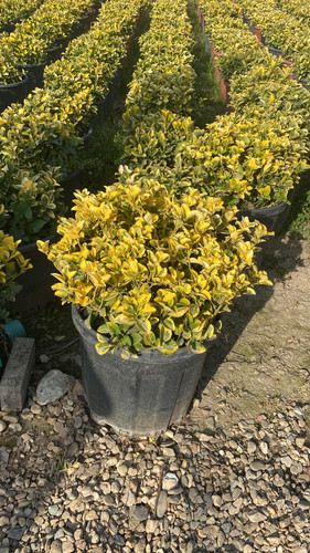 WhatsApp Image 2023 03 03 at 16.10.34.jpg