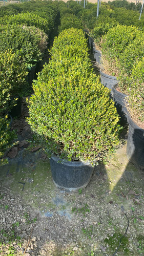 WhatsApp Image 2023 03 03 at 16.08.00 (1).jpg