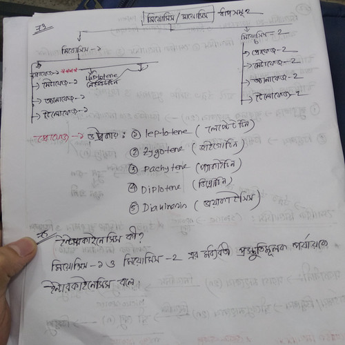 IMG 20230301 170731.jpg