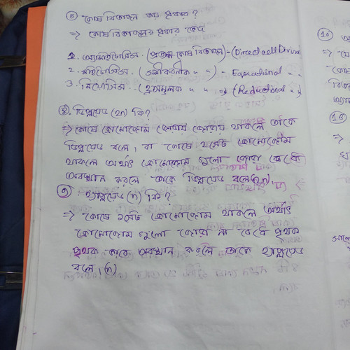 IMG 20230301 171238.jpg