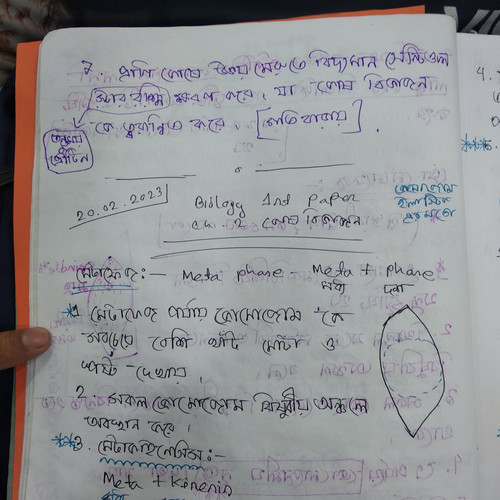 IMG 20230301 171319.jpg