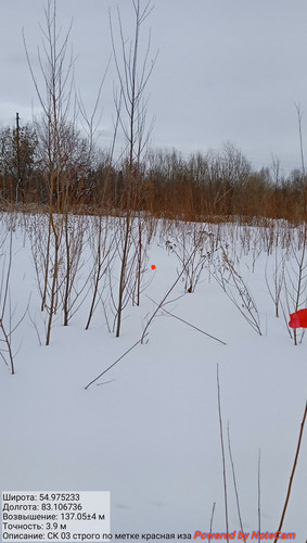 IMG 20230303 143201.jpg