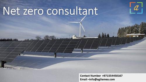 Net Zero . 6.jpg
