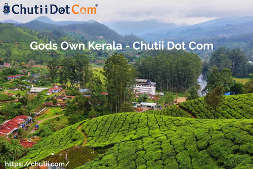 Chutii Dot Com: Gods Own Kerala.jpg
