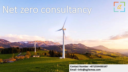 Net Zero . 7jpg.jpg