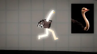 OSTRICH.webp