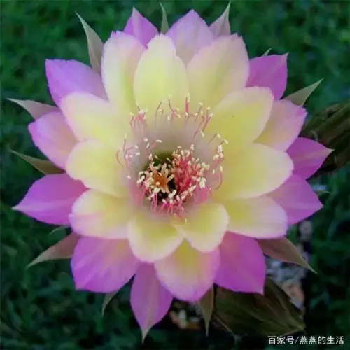 8601a18b87d6277f1968f885cb71b236e824fce2.webp