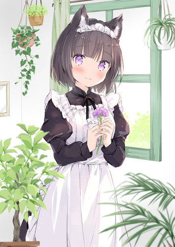 88030115 p0.jpg