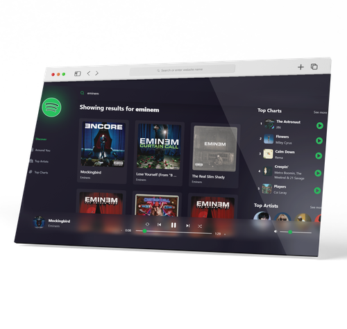 spotify3.png