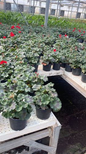 WhatsApp Image 2023 03 02 at 14.00.15.jpg