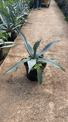 WhatsApp Image 2023 03 02 at 14.04.25.jpg