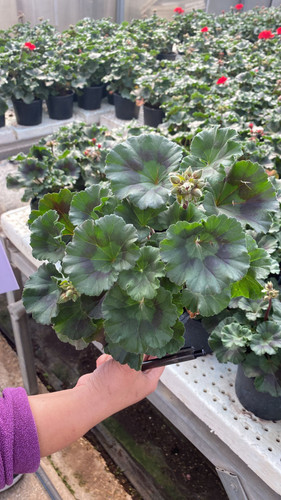 WhatsApp Image 2023 03 02 at 14.00.16.jpg