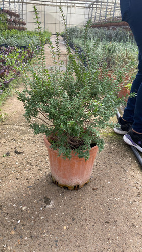 WhatsApp Image 2023 03 02 at 14.21.11.jpg