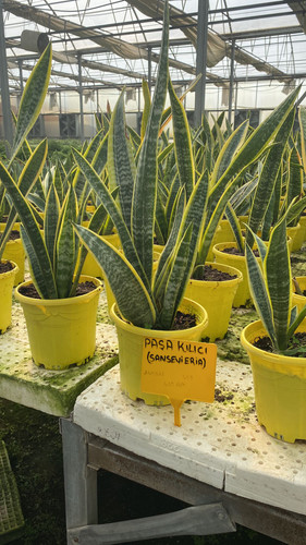 WhatsApp Image 2023 03 02 at 14.23.42.jpg