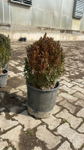 WhatsApp Image 2023 03 02 at 14.34.54.jpg